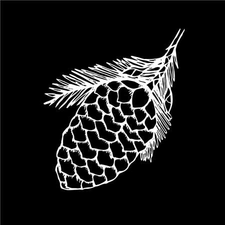 Black and white drawing of a branch with a pine cone. Beauty plant.の写真素材