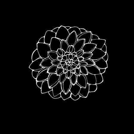Black and white picture of a dahlia flower. The idea for a tattooのイラスト素材