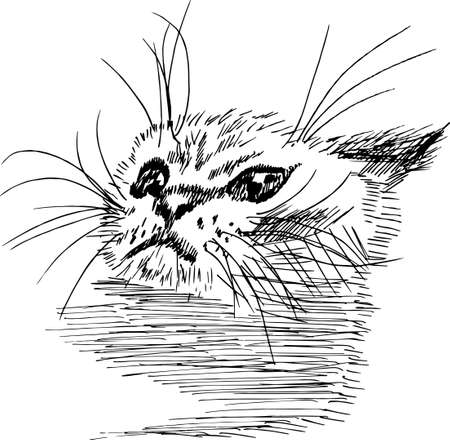 Black and white illustration of a cat in the style of hatching.のイラスト素材