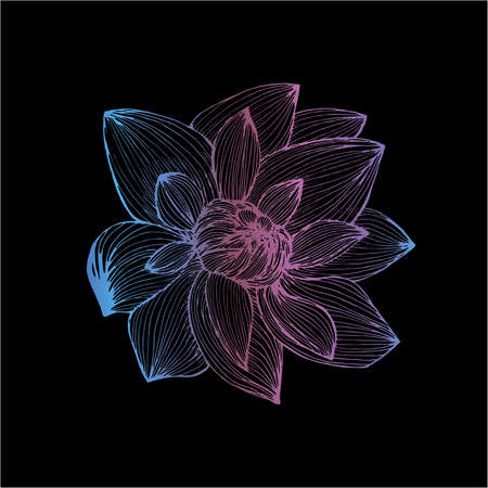Gradient lotus illustration made by freehand lines. Tattoo idea.のイラスト素材