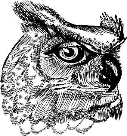 Black and white picture of an psychodellic Owl. Ornament, pattern, night, planets. Tattoo idea.のイラスト素材