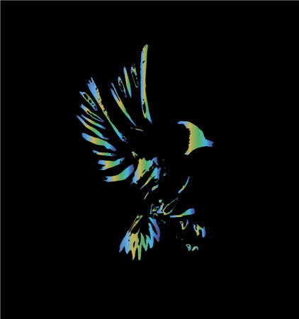 Illustration of a flying bird. Magpie or crow, made in ink.のイラスト素材