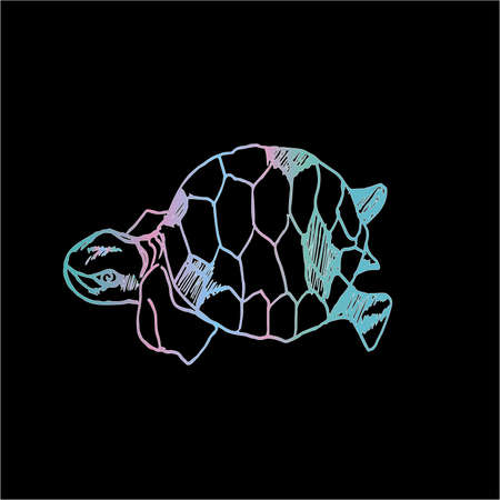 Color illustration of a psychedelic turtle. Tattoo idea.のイラスト素材