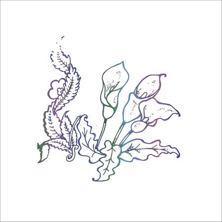 Neon gradient illustration of a bouquet of spathiphyllum. Woman's happiness.のイラスト素材