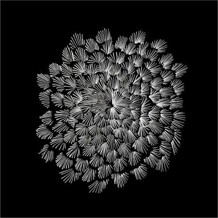 Black-white illustration of a psychedelic mandaloid flower in the technique of hatching. Chalk on a blackboard.のイラスト素材