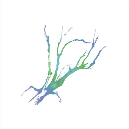 Color illustration of tree branches. The play of light and shadow.のイラスト素材