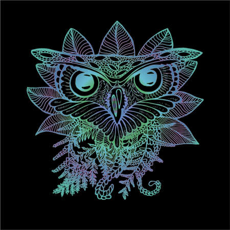 Color illustration of an owl. Drawing of an owl and plantsのイラスト素材
