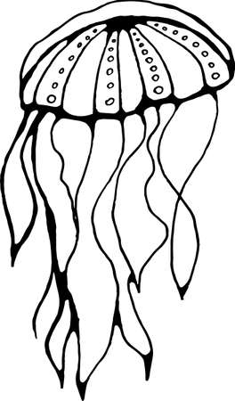 Illustration of a translucent animal. Jellyfish under water..のイラスト素材