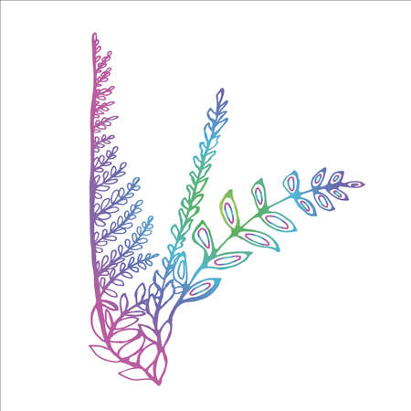 Color illustration of bouquets of fern and grass.のイラスト素材