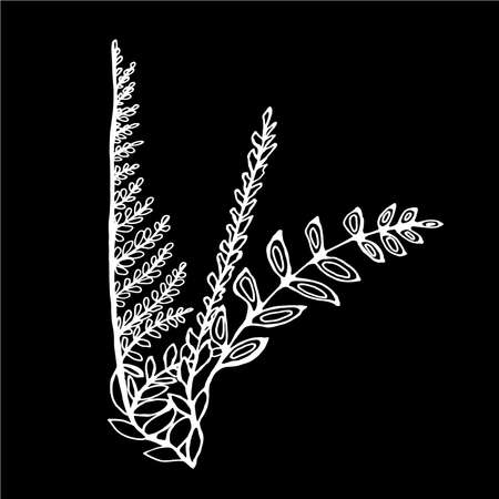 Illustration of bouquets of fern and grass.のイラスト素材