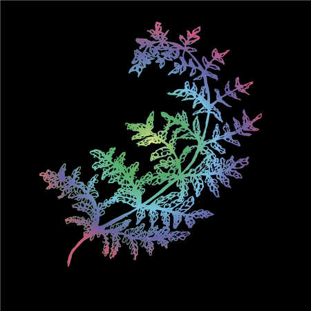 Color neon gradient fern illustration. Ancient plant.のイラスト素材