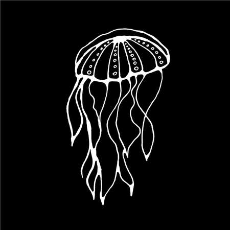 Illustration of a translucent animal. Jellyfish is a poisonous animal. Chalk on a blackboard.のイラスト素材