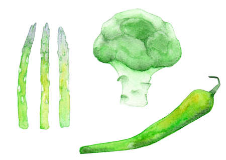 vegetarian vegetables green organic healthy eat watercolorの写真素材