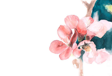 beautiful spring flower watercolor cardの写真素材