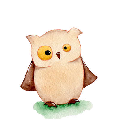 owl childrens illustration cartoon brown and cuteの写真素材
