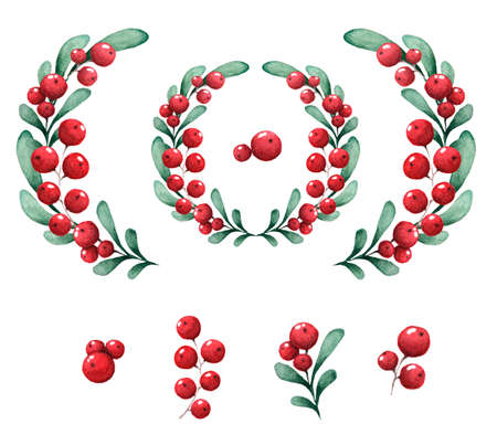 Decorative circle with Christmas holly berries and elements isolated on white.の写真素材