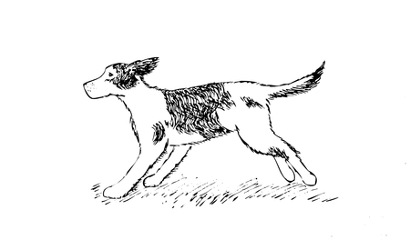running Dog hand drawing isolated vectorのイラスト素材