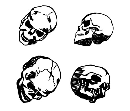 skull in different positions hand drawing black isolated on white background vectorのイラスト素材