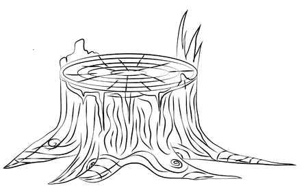 Hand drawn old stump, black and white outline, vector illustration, isolated on whiteのイラスト素材