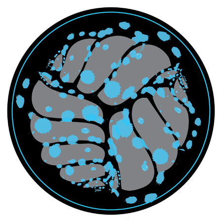 combination of the three shells in black circleのイラスト素材