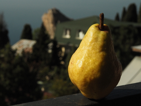 Big yellow Pear on the balcony in the sun Against the backdrop of the resort cityの写真素材