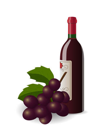 Realistic illustration of wine bottle  and bunch of grapesのイラスト素材