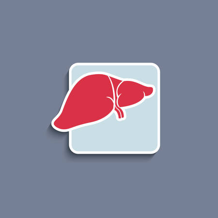 Vector paper cut-out icon of internal human organ liverのイラスト素材