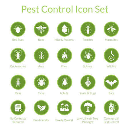 Vector icon set with insects like flies, cockroaches, bed bugs, spiders and termites for pest control companiesのイラスト素材