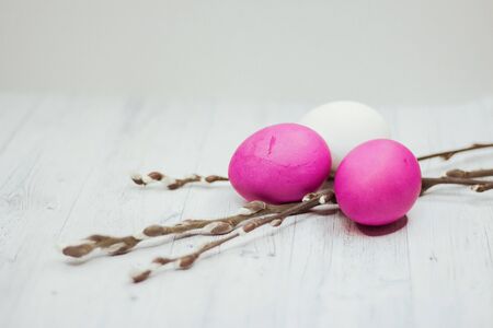 Easter background with colored pink and white eggs and pussy willow on wooden table. side view. Copy...