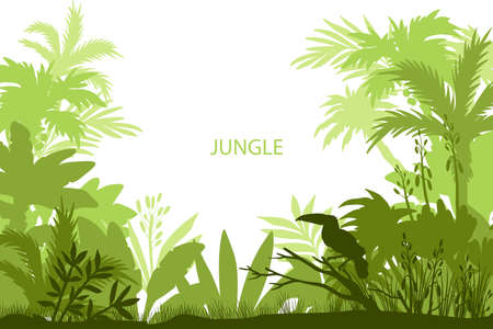 Vector rainforest frame with toucan, palm trees, bamboo, leaves and banana. Ecological tropical banner in green colors and copy space. Jungle background with silhouettes of plants and birdsのイラスト素材