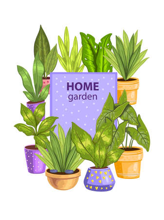 Vector stock illustration with home plants. Tropical leaves and succulents in colorful pots isolated on white background. Botanical frame for postcards, prints, advertisements, invitations.のイラスト素材