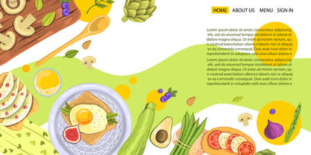 Vector landing page organic food concept. Illustration with plates, sandwiches, egg, vegetables and fruit. Space for text in the right top corner. Banner for natural products shops, menus, restaurants. のイラスト素材