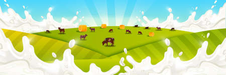 Milk farm landscape with grazing livestock, green fields, haystacks, blue sky,sunrays. Rural countryside illustration with milk splash, cows, grass, meadow. Farming concept for dairy products packagesのイラスト素材
