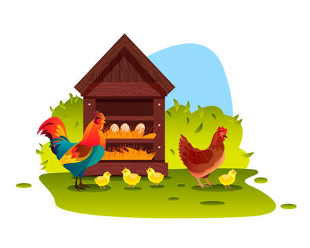 Chicken farm illustration with cock, hen, wooden perch, eggs, green bush and grass. Poultry organic farming background with chicken, rooster in cartoon flat style. Kids nature vector illustrationのイラスト素材