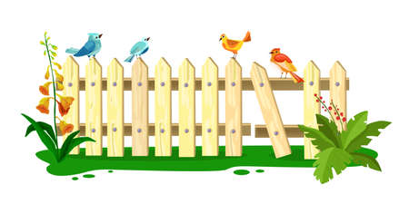 Wooden vector spring fence illustration, picket with sitting birds, grass, flowers, green leaves, isolated on white. Old cartoon broken farm backyard barrier, plants. Wooden summer rustic plank fenceのイラスト素材