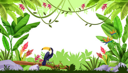 Jungle vector frame, tropical forest nature border, toucan, liana, exotic flowers, green grass, banana leaf. Floral paradise Amazon game background, Hawaii illustration. Jungle frame, vacation bannerのイラスト素材