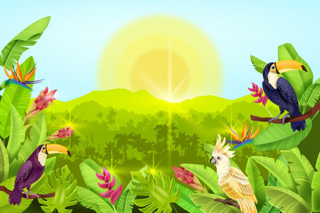 Jungle vector forest landscape, exotic tropical background, palm tree silhouette, toucan, parrot, sun. Summer paradise sunrise banner, flowers, wildlife nature illustration. Green jungle landscapeのイラスト素材