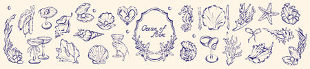 Ocean shell doodle, marine coral wedding decor, sea underwater line illustration coastal party decor. Nautical wine glass, elegant seaweed, starfish, conch romantic graphic. Vintage ocean doodle setのイラスト素材