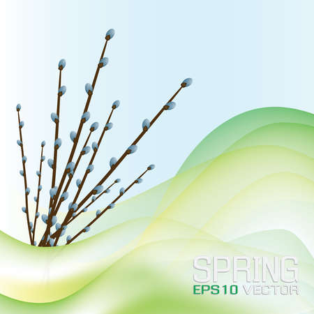 Spring's background. Vector backgroundのイラスト素材