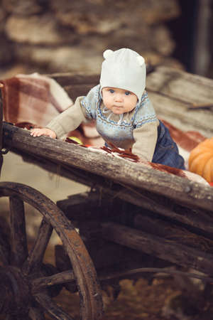 Cute little kid having enjoying countryside  Outdoorの写真素材