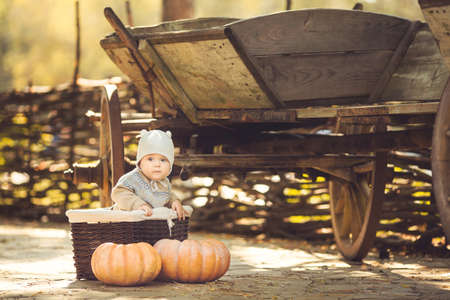 Cute little kid having enjoying countryside  Outdoorの写真素材