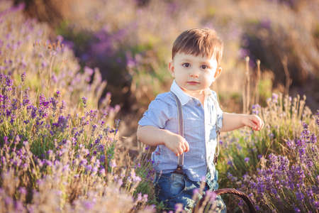 Little boy in lavender field  Outdoor summer portrait の写真素材
