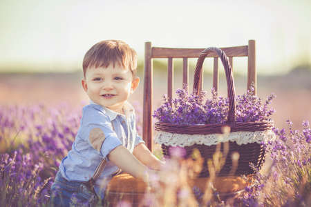 Little boy in lavender field  Outdoor summer portrait の写真素材