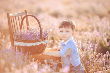 Little boy in lavender field  Outdoor summer portrait の写真素材
