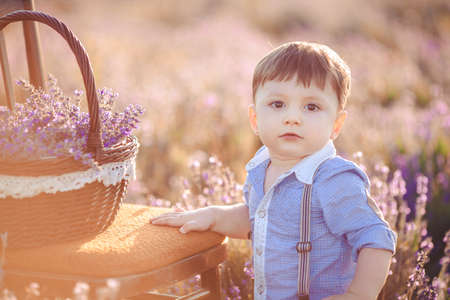 Little boy in lavender field  Outdoor summer portrait の写真素材