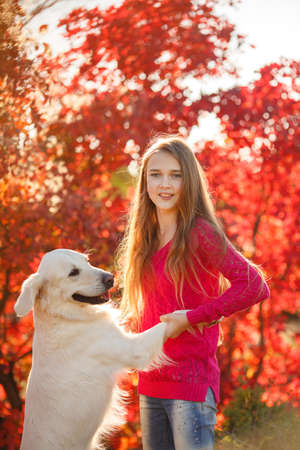 portrait of Smiling young girl posing with a labrador retriever dog out in autumn beautiful parkの写真素材