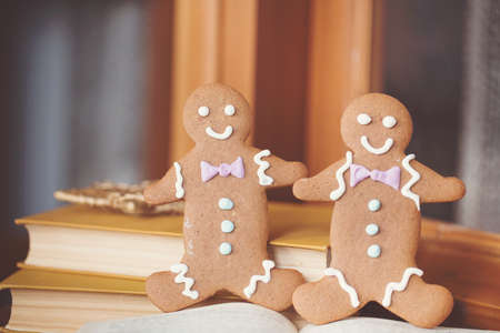 Smiling gingerbread man standing next to open book  Closeup with shallow dof  Copy space included for text の写真素材