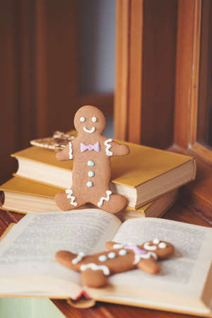 Smiling gingerbread man standing next to open book  Closeup with shallow dof  Copy space included for text の写真素材