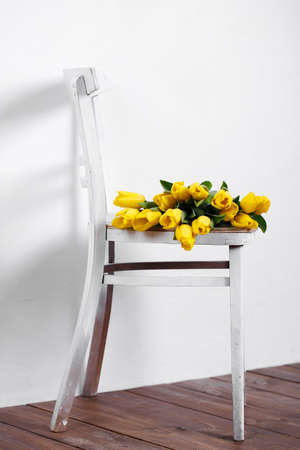 Beautiful bright yellow tulips in Still Life lying on antique white Chairの写真素材