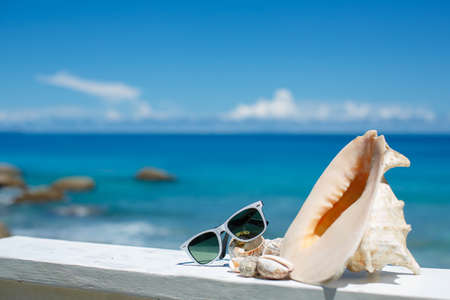 Sunglasses and beautiful seashells lying on a background of blue oceanの写真素材